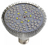 Светодиодная фитолампа Led Favourite E27 par 220v smd5730